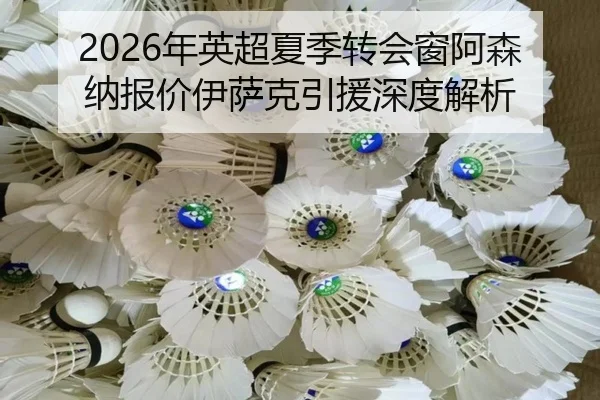 nian-ying-chao-xia-ji-zhuan-hui-chuang-a-sen-na-bao-jia-yi-sa-ke-yin-yuan-shen-du-jie-xi-2-951.jpg