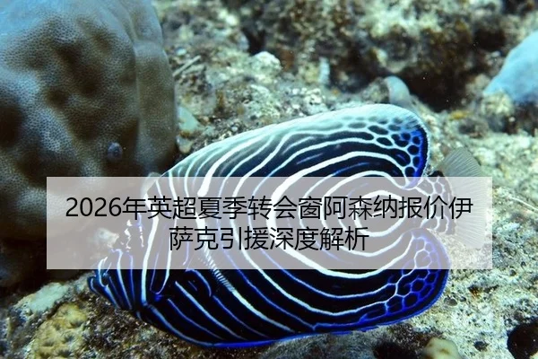 2026年英超夏季转会窗阿森纳报价伊萨克引援深度解析
