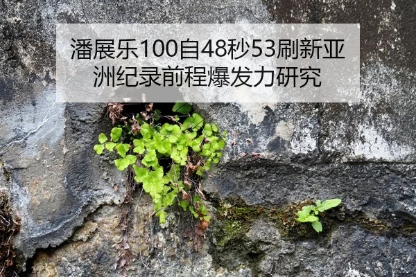潘展乐100自48秒53刷新亚洲纪录前程爆发力研究